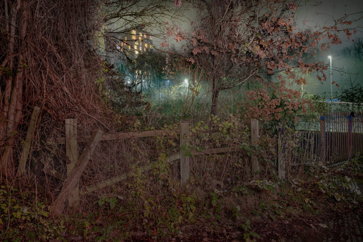 Work by Not Quite Light (Photography)